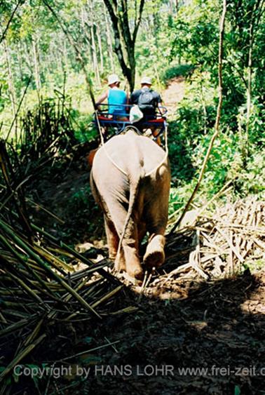 15 Thailand 2002 F1130016 Khao Lak Ausflug Elefantentrekking_478